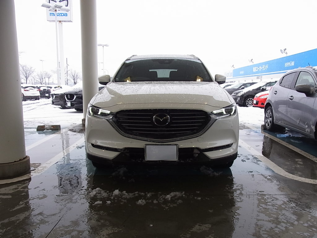 プロアクティブ プレスフォーミング スイングアーム | ACTIVE