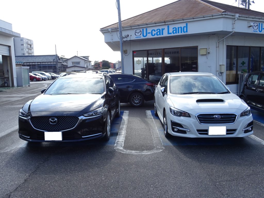 マツダ 1日試乗キャンペーン 利用しました Part1 どんな手続きが必要 Wonderful Car Life