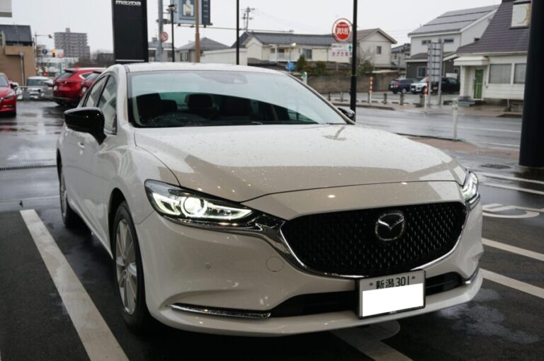  iPod Nanoが改良され、ホームボタンを備えた長方形のボディが追加されましたか?